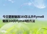 今日更新魅族16t怎么升flyme8 魅族16t升flyme8的方法