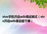 vivo手机开启adb调试模式（vivo开启adb重启能干嘛）