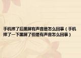 手机摔了后黑屏有声音是怎么回事（手机摔了一下黑屏了但是有声音怎么回事）
