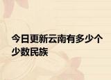 今日更新云南有多少个少数民族
