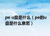 pe u盘是什么（pe的u盘是什么意思）