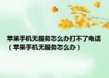苹果手机无服务怎么办打不了电话（苹果手机无服务怎么办）
