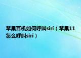 苹果耳机如何呼叫siri（苹果11怎么呼叫siri）