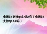 小米6x支持qc3.0快充（小米6x支持qc3.0吗）