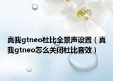 真我gtneo杜比全景声设置（真我gtneo怎么关闭杜比音效）
