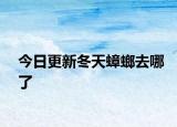 今日更新冬天蟑螂去哪了