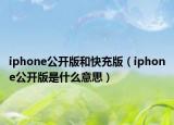 iphone公开版和快充版（iphone公开版是什么意思）