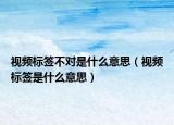 视频标签不对是什么意思（视频标签是什么意思）