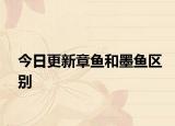今日更新章鱼和墨鱼区别