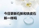 今日更新石斛和铁皮石斛一样吗
