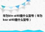 华为bln-al40是什么型号（华为koz-al40是什么型号）
