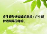 庄生晓梦迷蝴蝶的意境（庄生晓梦迷蝴蝶的隐喻）