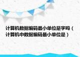 计算机数据编码最小单位是字吗（计算机中数据编码最小单位是）