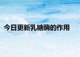 今日更新乳糖酶的作用