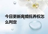 今日更新离婚抚养权怎么判定