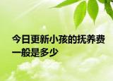 今日更新小孩的抚养费一般是多少