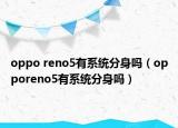 oppo reno5有系统分身吗（opporeno5有系统分身吗）