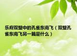 乐府双璧中的孔雀东南飞（双璧孔雀东南飞另一篇是什么）