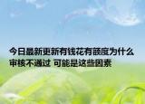 今日最新更新有钱花有额度为什么审核不通过 可能是这些因素