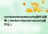 nortoninternetsecurity是什么软件（norton internet security是什么）