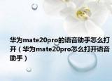 华为mate20pro的语音助手怎么打开（华为mate20pro怎么打开语音助手）