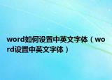 word如何设置中英文字体（word设置中英文字体）