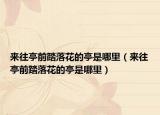 来往亭前踏落花的亭是哪里（来往亭前踏落花的亭是哪里）