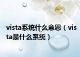 vista系统什么意思（vista是什么系统）