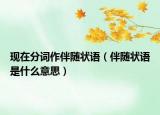 现在分词作伴随状语（伴随状语是什么意思）