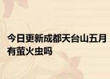 今日更新成都天台山五月有萤火虫吗