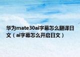 华为mate30ai字幕怎么翻译日文（ai字幕怎么开启日文）