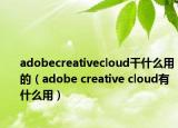 adobecreativecloud干什么用的（adobe creative cloud有什么用）