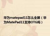 华为matepad11怎么全屏（华为MatePad11支持OTG吗）