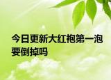 今日更新大红袍第一泡要倒掉吗
