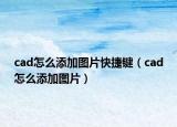 cad怎么添加图片快捷键（cad怎么添加图片）