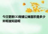 今日更新﻿﻿商铺公摊面积是多少米呢谁知道呢