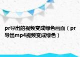pr导出的视频变成绿色画面（pr导出mp4视频变成绿色）