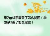 华为gt2手表丢了怎么找回（华为gt2丢了怎么定位）