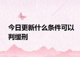 今日更新什么条件可以判缓刑