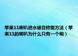 苹果11喇叭进水破音修复方法（苹果11的喇叭为什么只有一个响）
