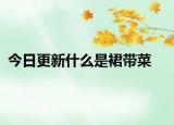 今日更新什么是裙带菜