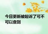 今日更新被起诉了可不可以查到