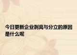 今日更新企业剥离与分立的原因是什么呢
