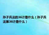 孙子兵法的36计是什么（孙子兵法第36计是什么）