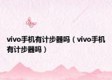 vivo手机有计步器吗（vivo手机有计步器吗）