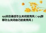 qq语音通话怎么关闭麦克风（qq群聊怎么关闭自己的麦克风）
