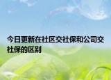今日更新在社区交社保和公司交社保的区别