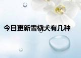 今日更新雪橇犬有几种
