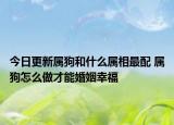 今日更新属狗和什么属相最配 属狗怎么做才能婚姻幸福