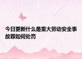 今日更新什么是重大劳动安全事故罪如何处罚